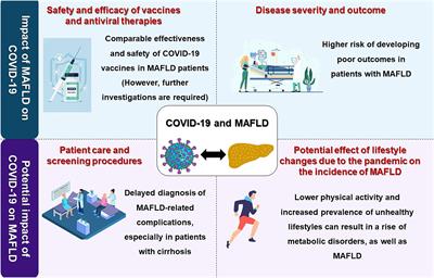 COVID-19 and MAFLD/NAFLD: An updated review